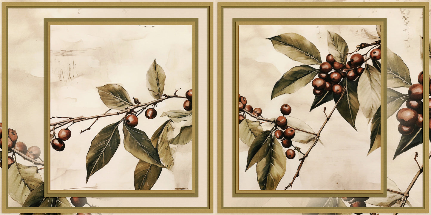 Coffee Plant NPM - 23-792