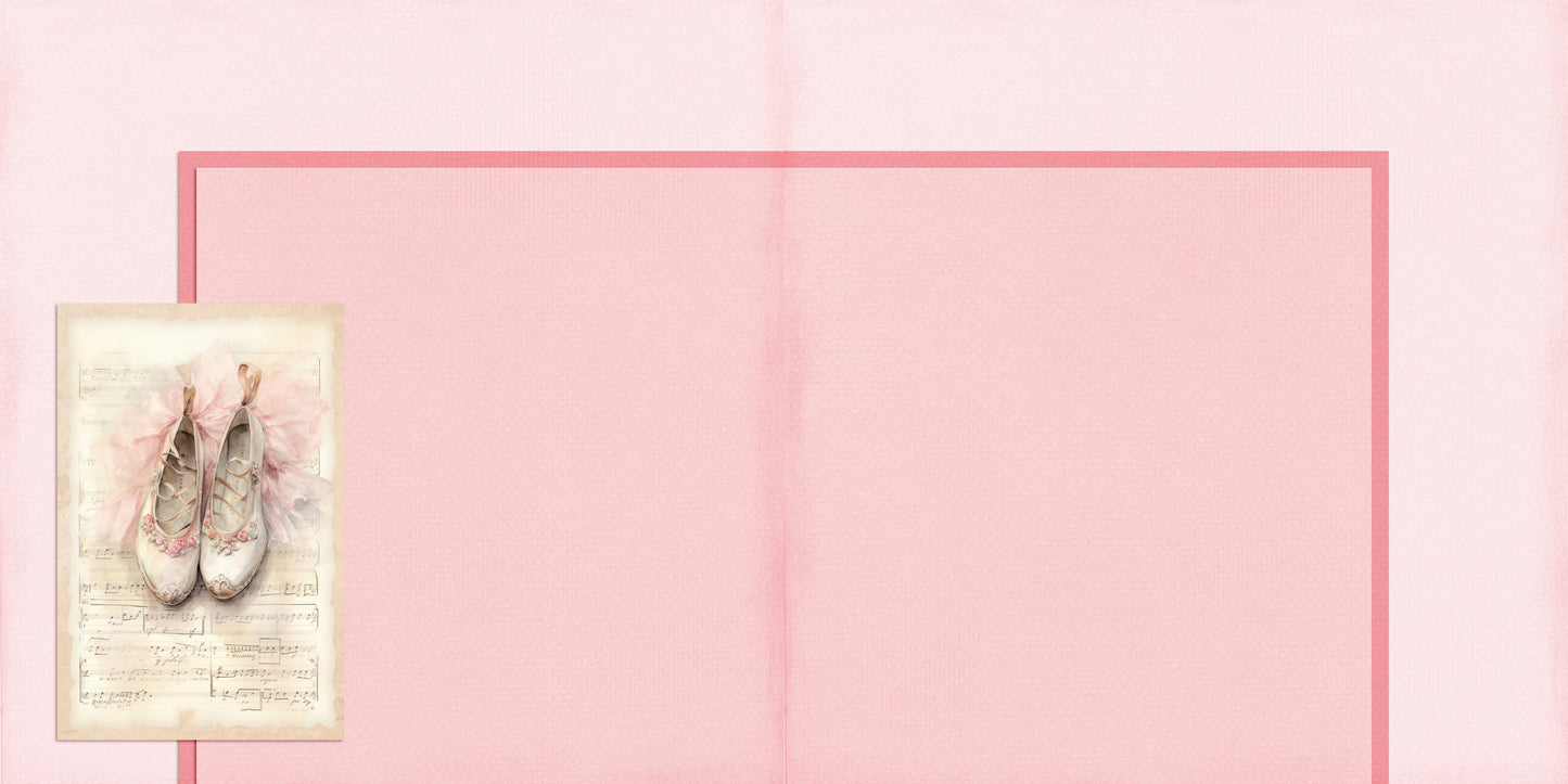 Ballet Slippers NPM - 24-250