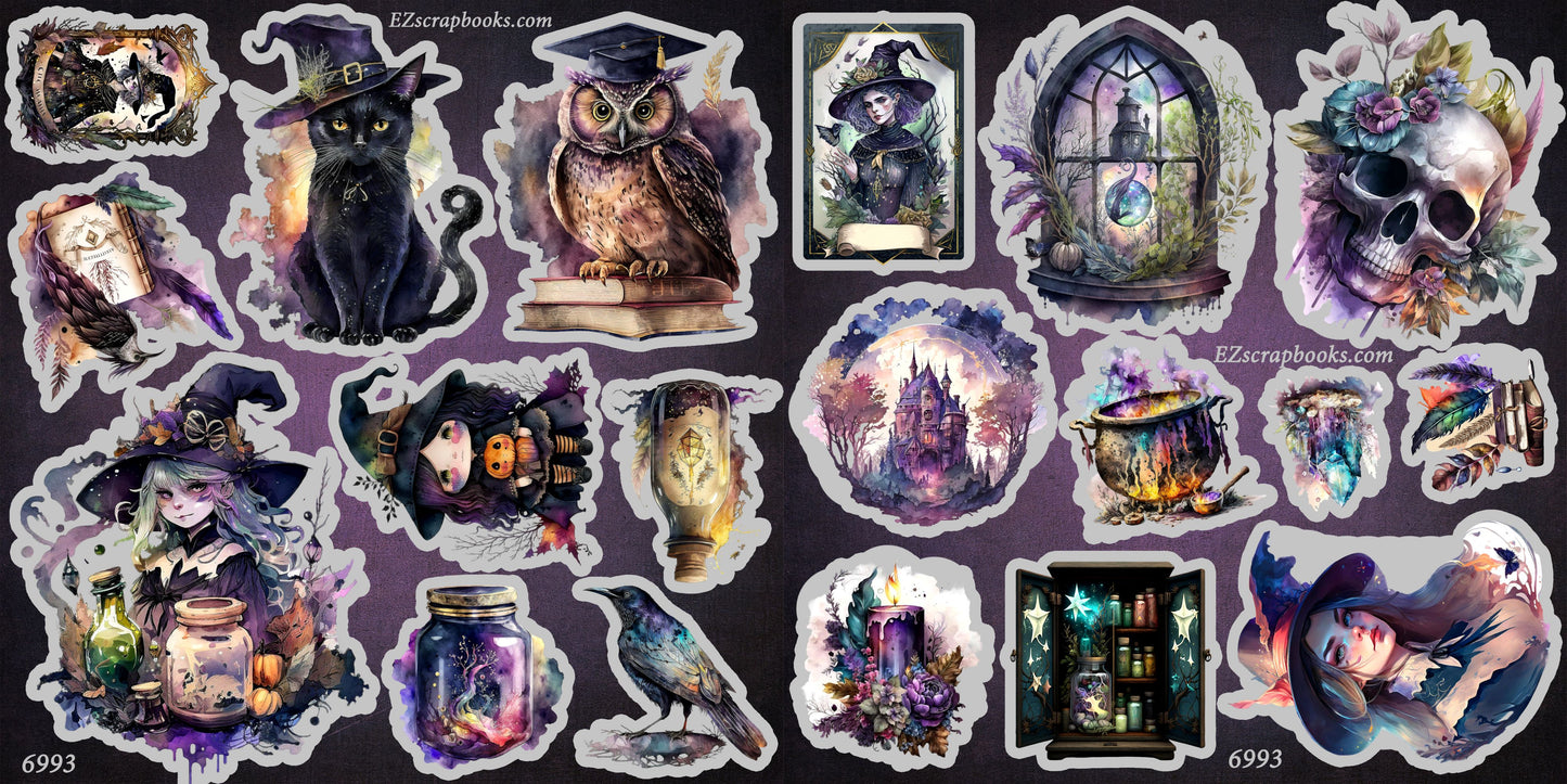 Witch Academy CAS - 6993