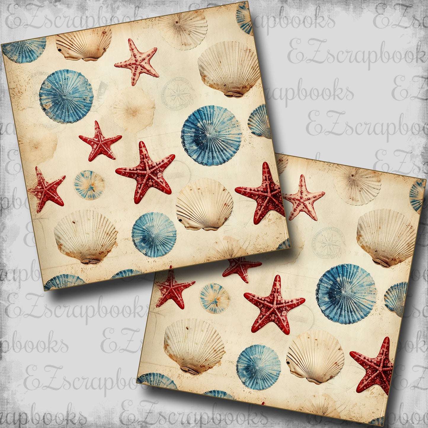 Nautical Seashells - Scrapbook Papers - 25-546