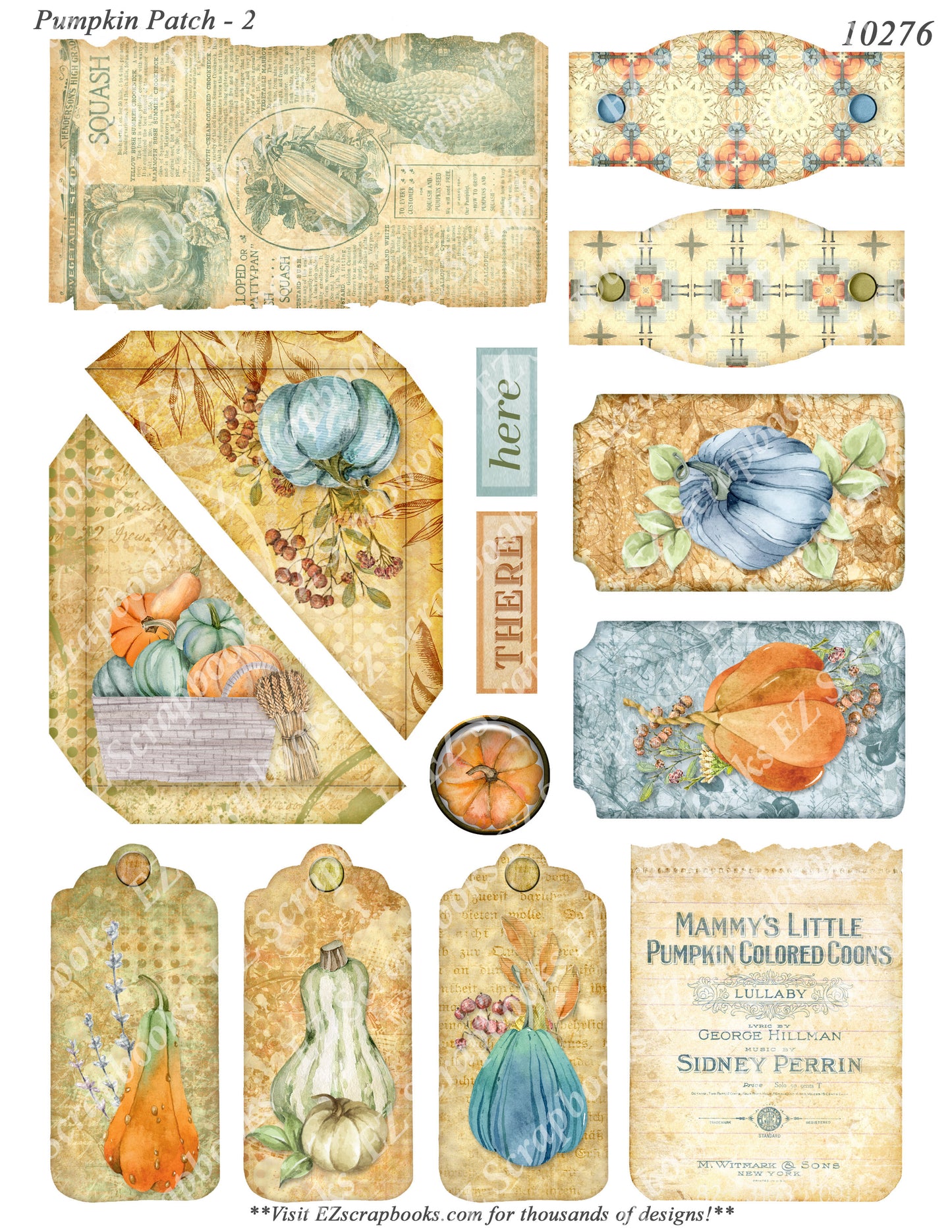 Pumpkin Patch - 2 - 10276
