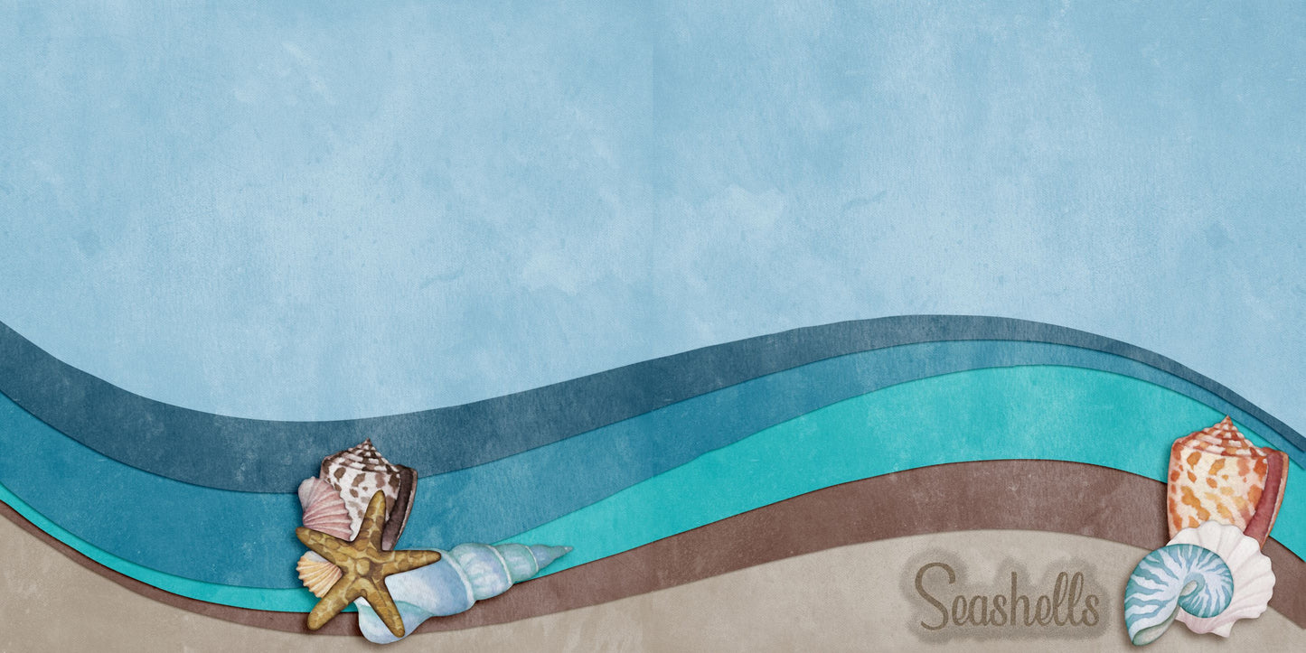 Seashells NPM - 6615