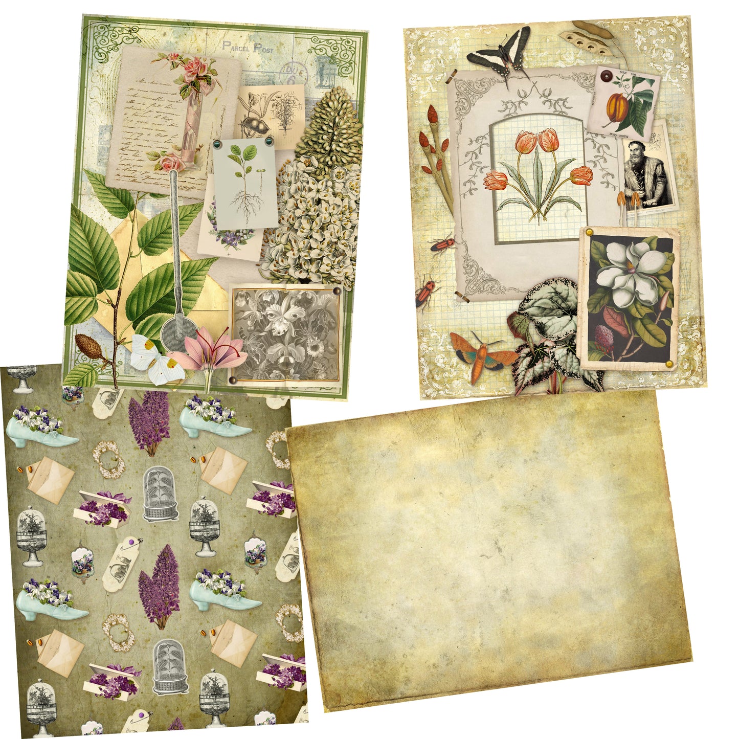 My Botanical Field Paper Pack - 7420