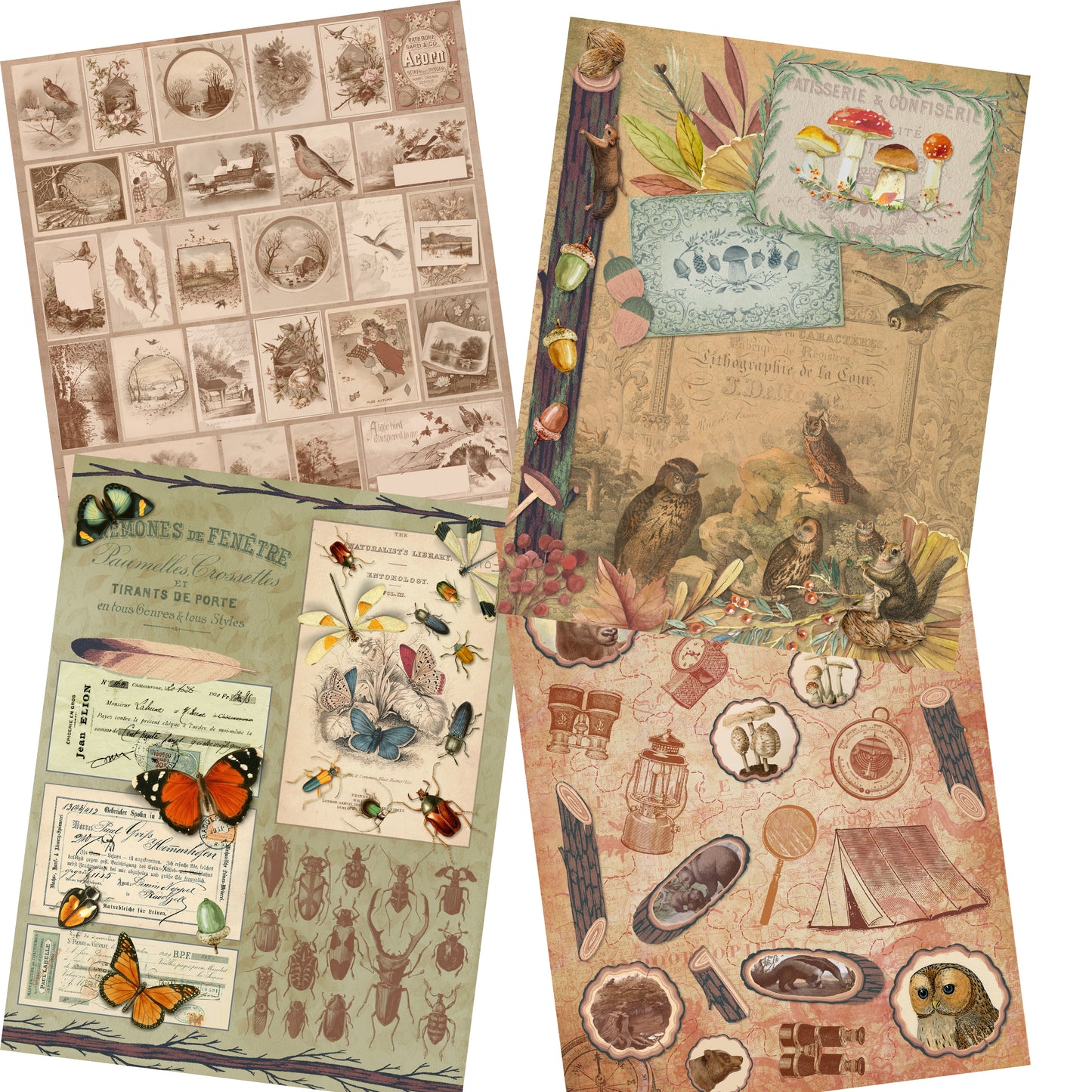 The Woods Paper Pack - 7391
