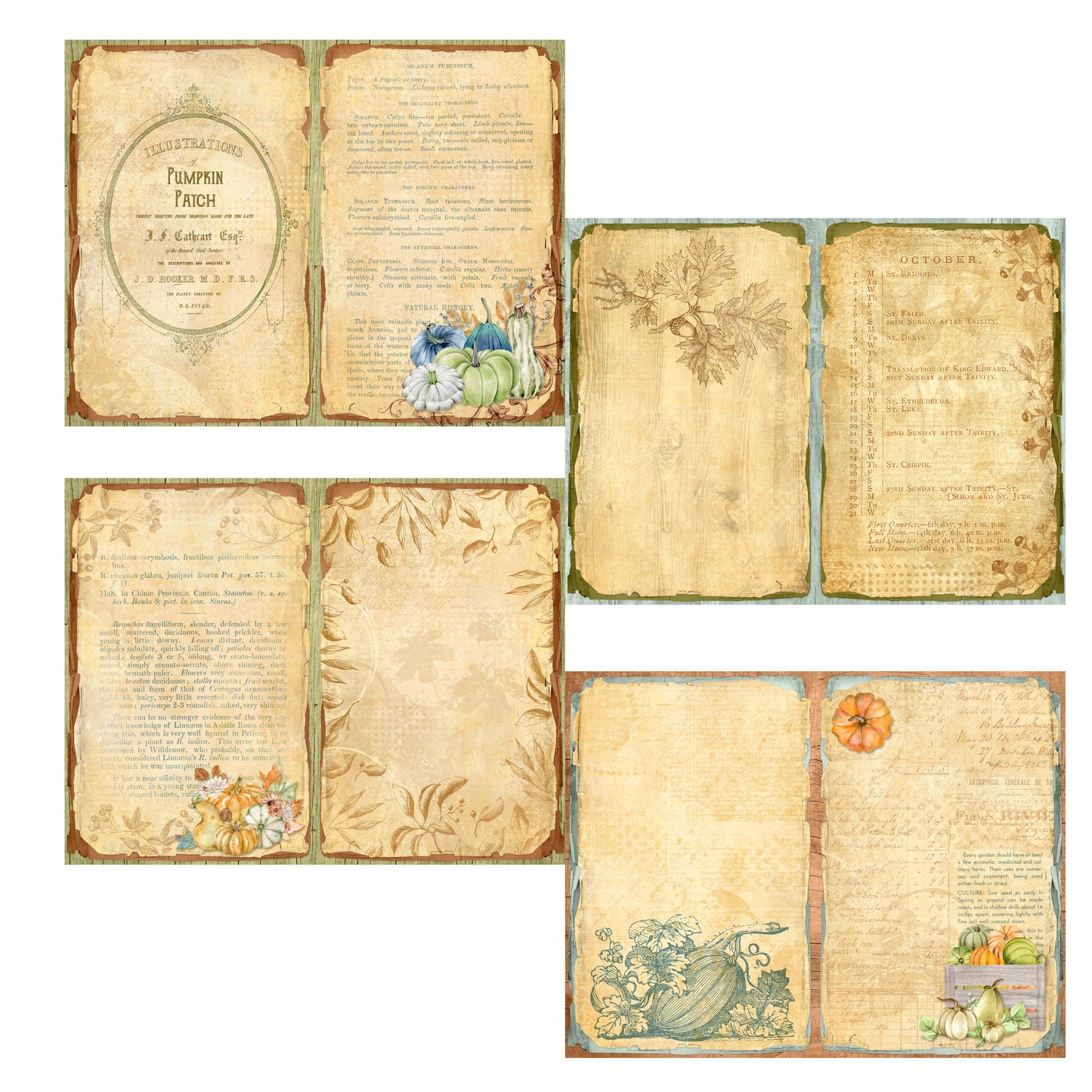 Pumpkin Patch Journal - 7572