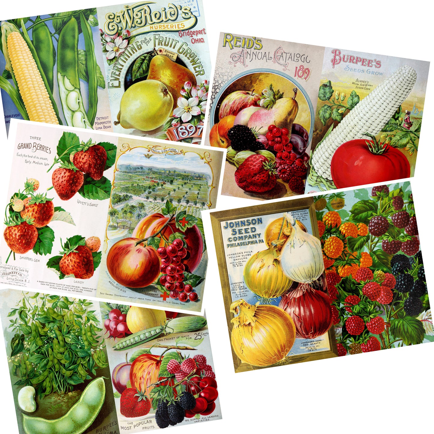 Seed Catalog 1 - Journal Pages - 7346