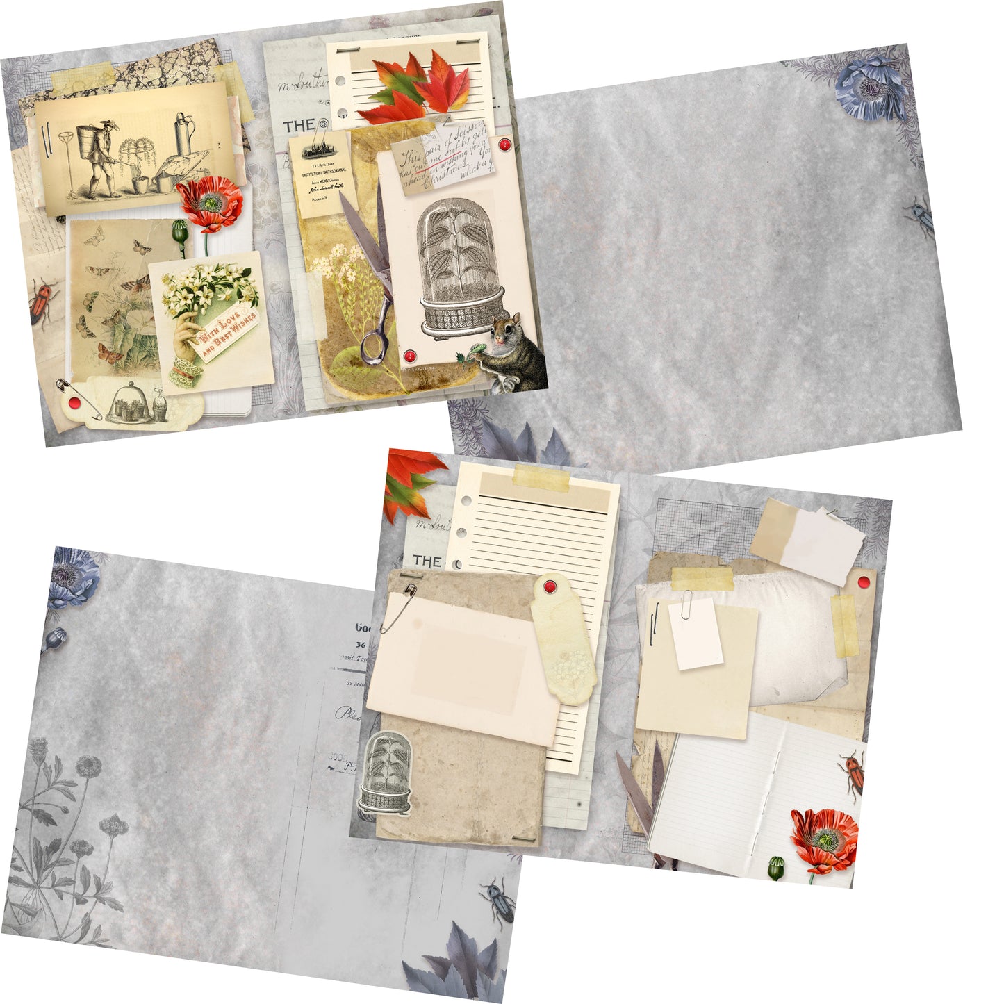 My Botanical Field Journal - 7419