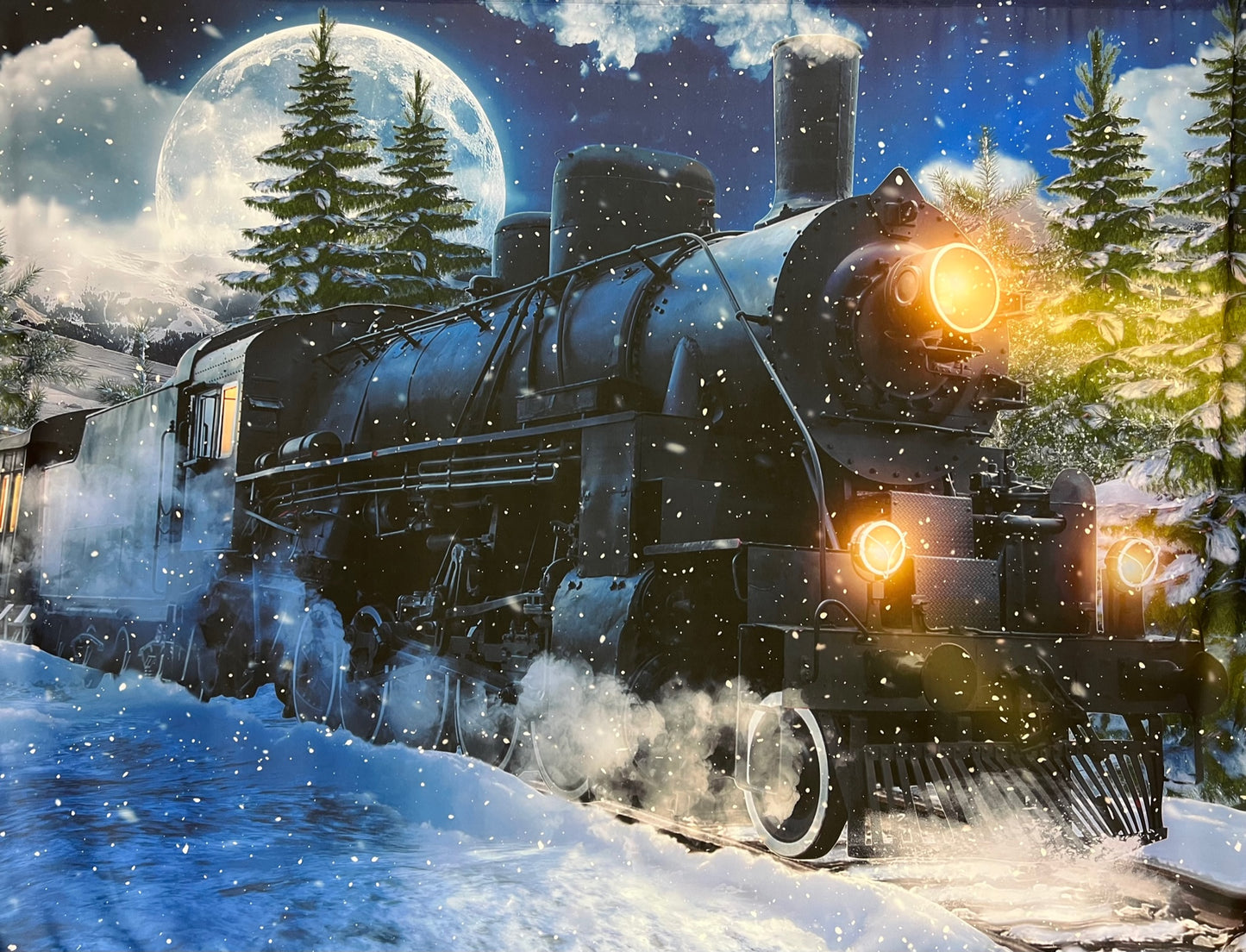 Christmas Photo Backdrop - Christmas Train