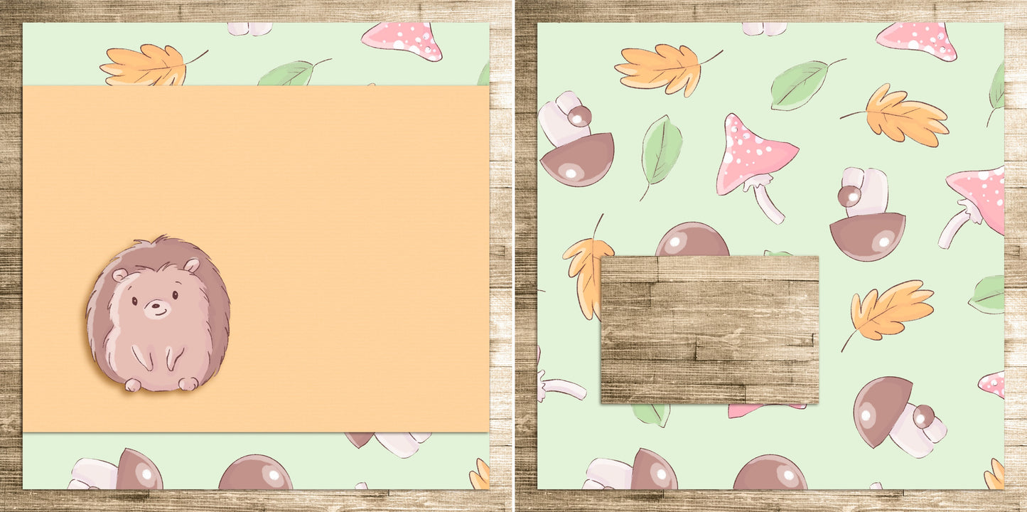 Baby Boy Hedgehog NPM - 6005