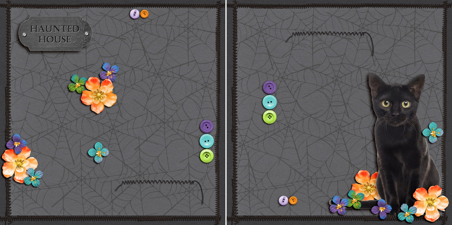 Haunted House Cat NPM - 5609