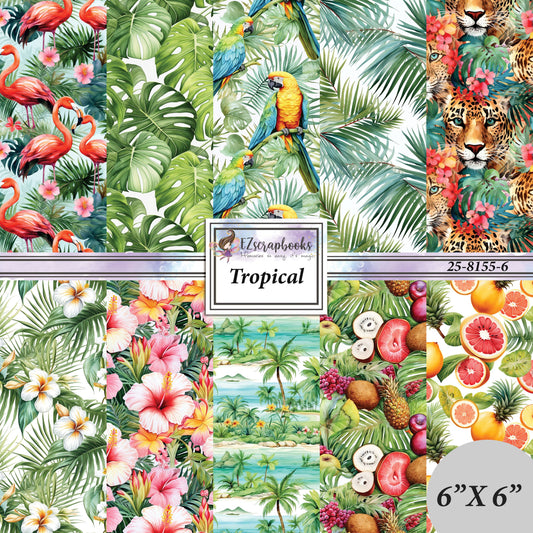 Tropical - 6X6 Paper Pack - 25-8155-6