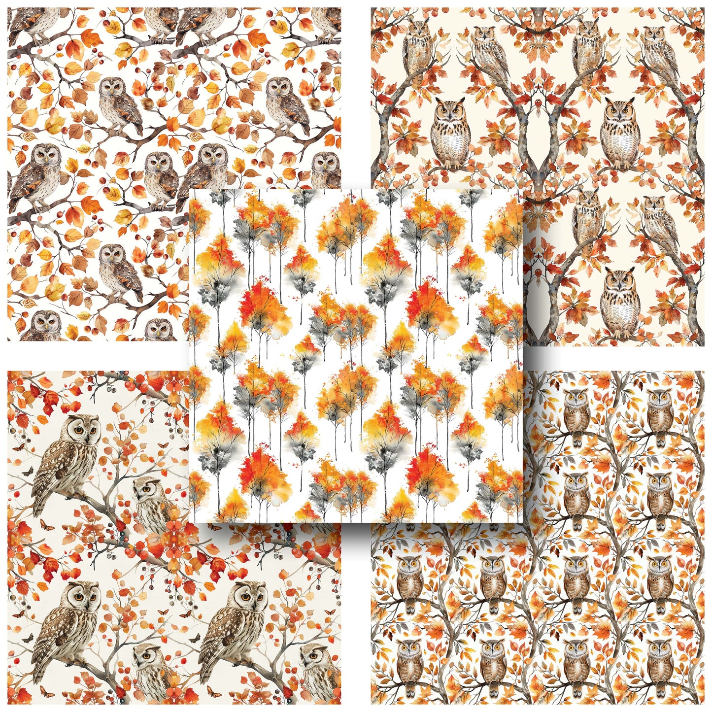 Watercolor Autumn Owls - 12X12 Fall Scrapbook Paper Pack - 25-8207