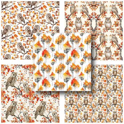 Watercolor Autumn Owls - 12X12 Fall Scrapbook Paper Pack - 25-8207