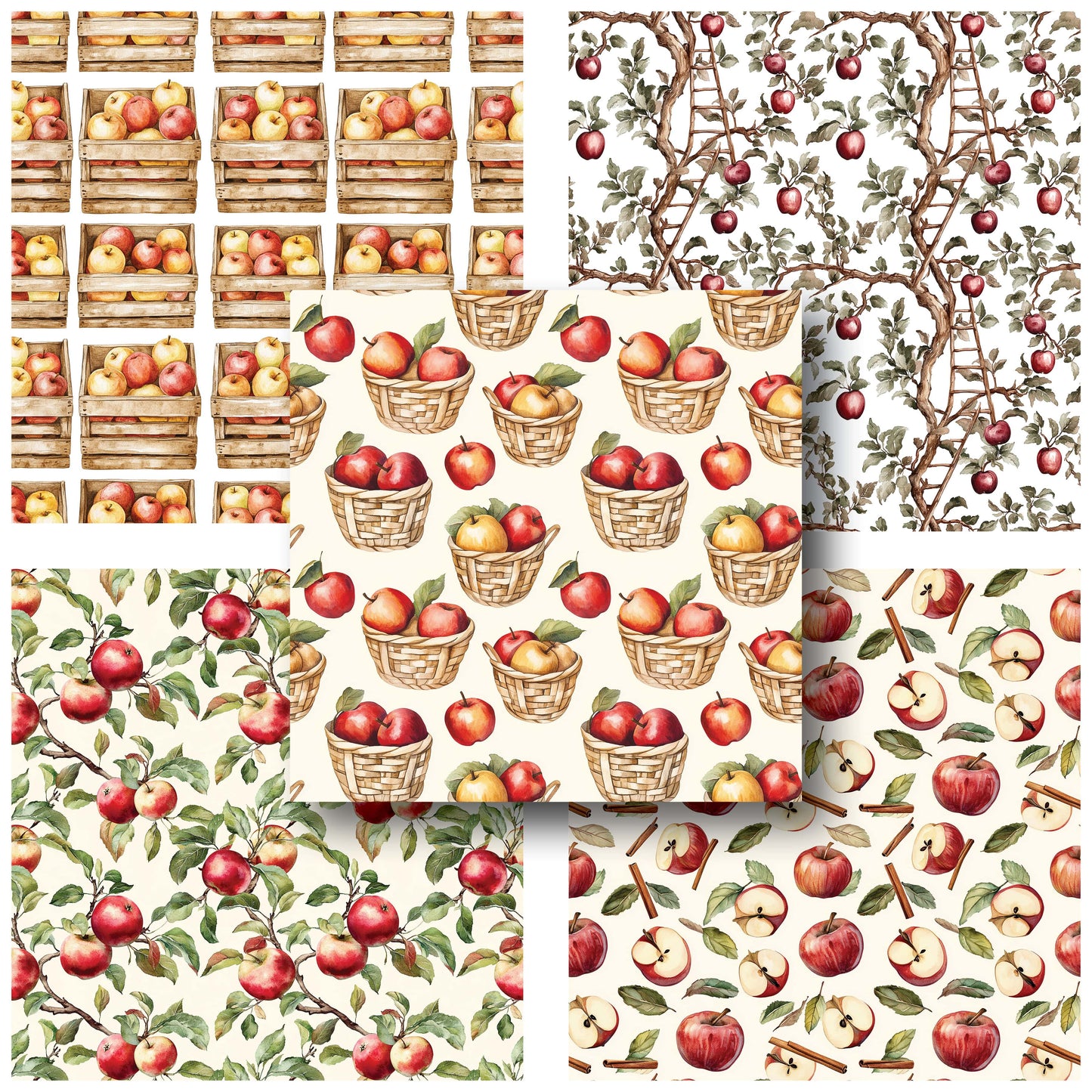 Apple Orchard - 12X12 Fall Scrapbook Paper Pack - 25-8231