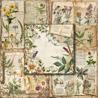 Vintage Herbs - 12X12 Scrapbook Paper Pack - 8979