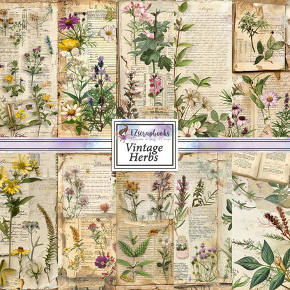 Vintage Herbs - 12X12 Scrapbook Paper Pack - 8979