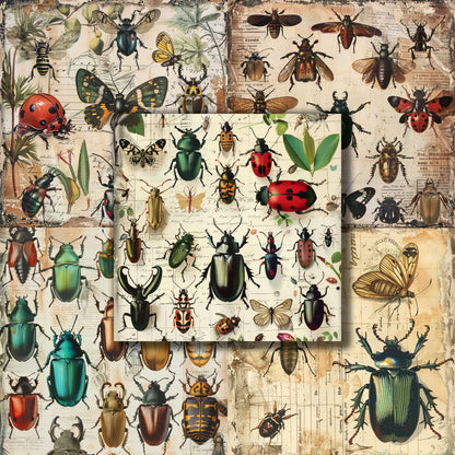 Vintage Entomology - 12X12 Scrapbook Paper Pack - 8980