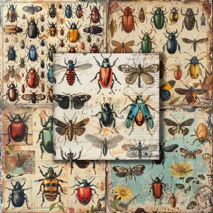 Vintage Entomology - 12X12 Scrapbook Paper Pack - 8980