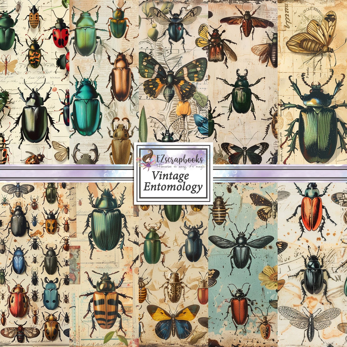 Vintage Entomology - 12X12 Scrapbook Paper Pack - 8980