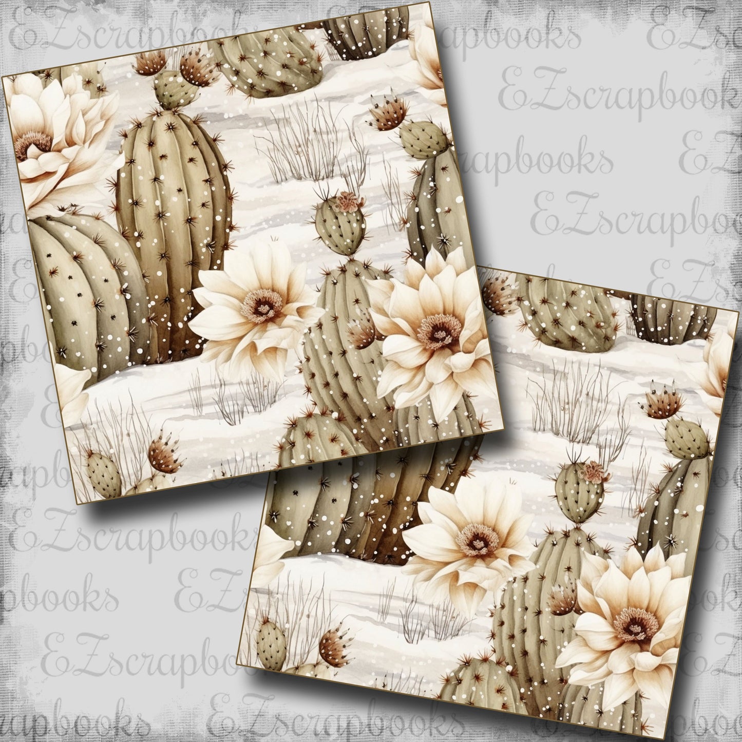 Western Winter Cactus - Scrapbook Papers - 25-053