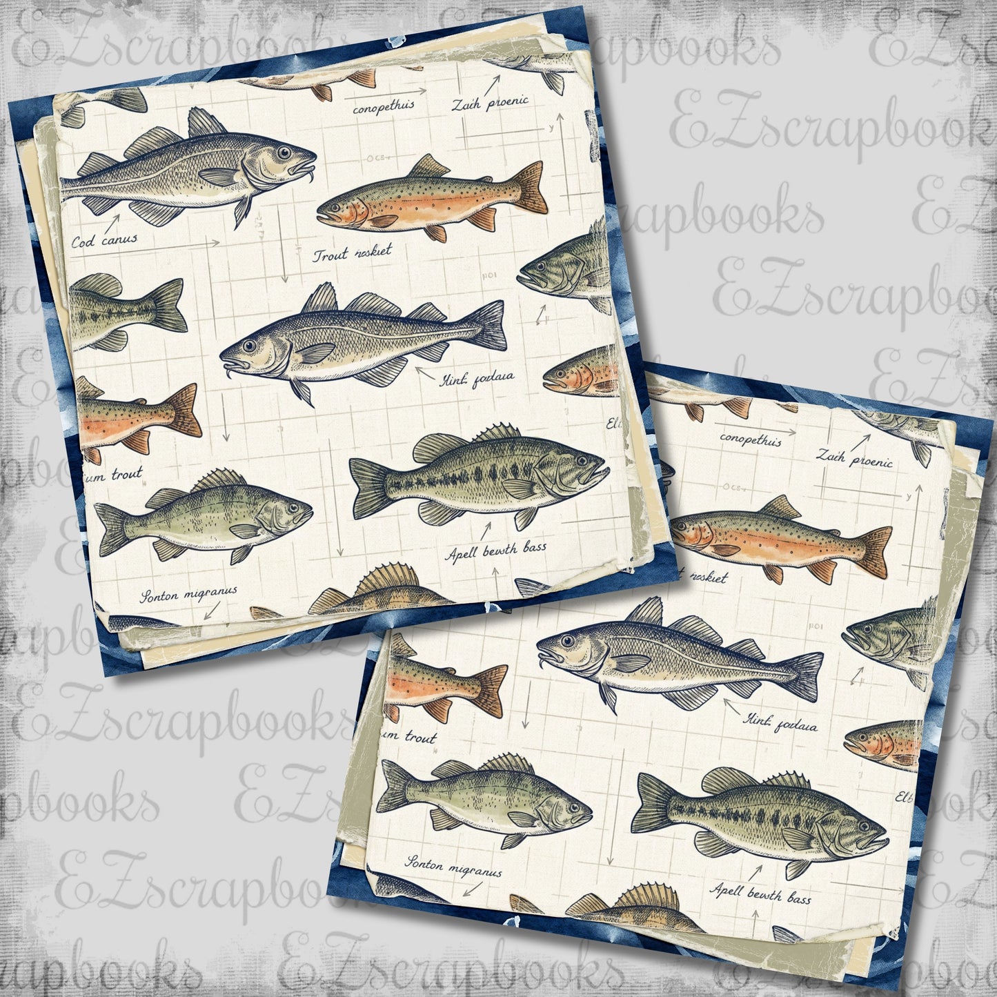 Fish Names Stacked NPM Scrapbook Layout - 26-074