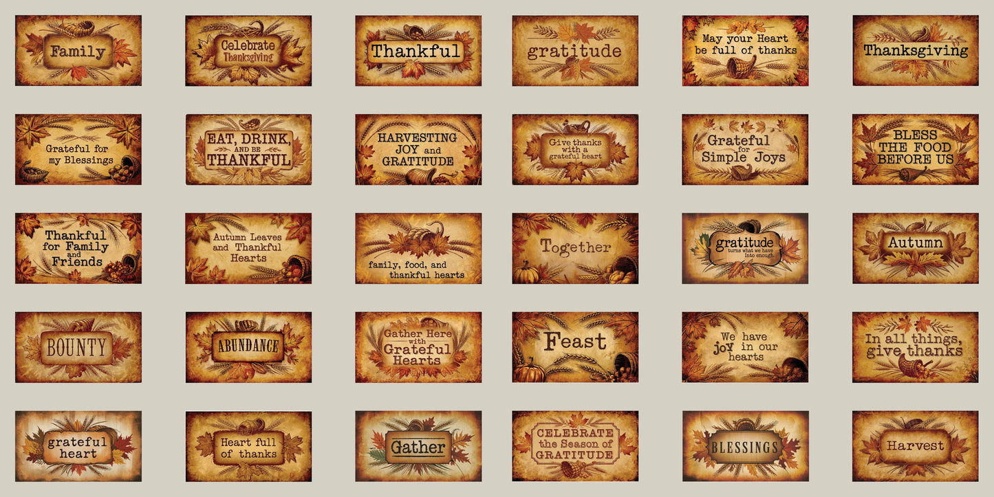 Thanksgiving Phrases - Clip Art Sheets CAS - 25-305