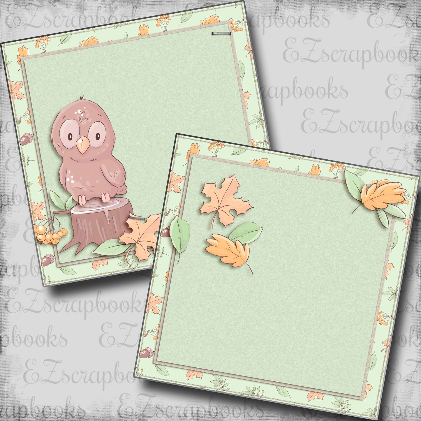 Baby Boy Owl NPM - 6003