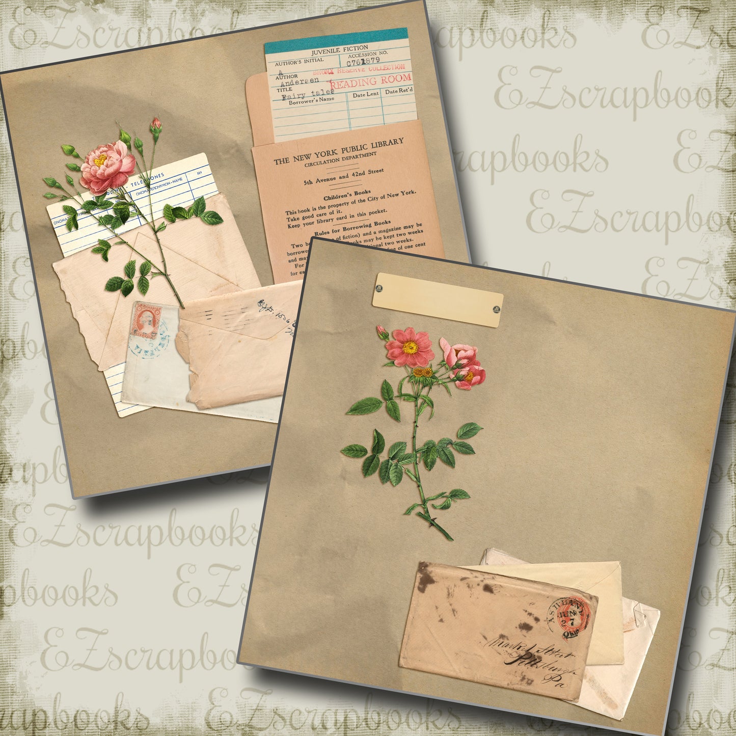 Library Cards NPM - 5747