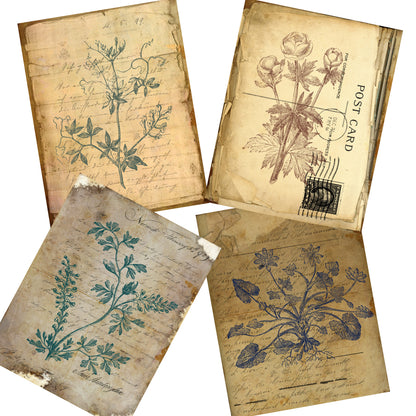 Botanical Journal Paper Pack - 7028 - EZscrapbooks Scrapbook Layouts Journals