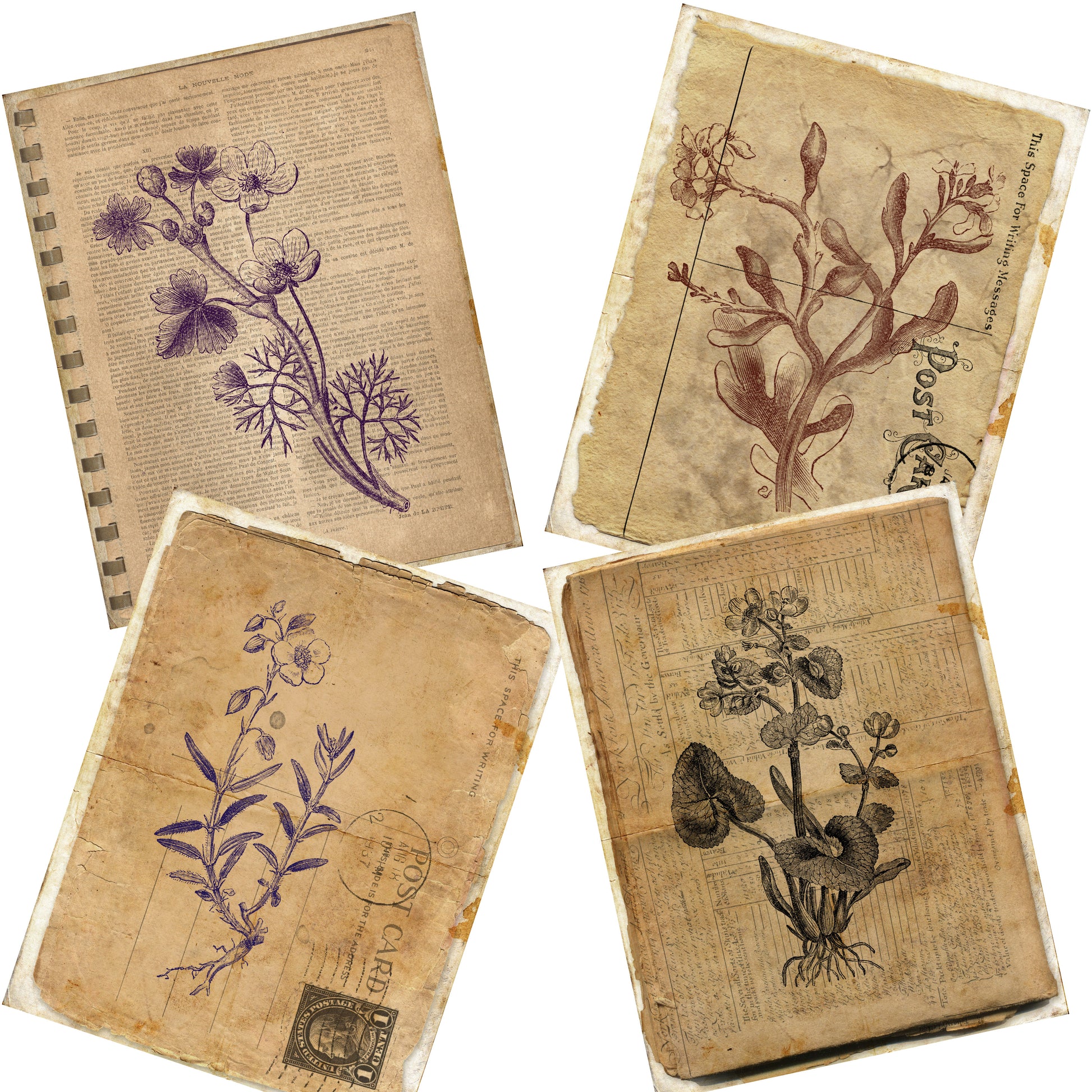 Botanical Journal Paper Pack - 7028 - EZscrapbooks Scrapbook Layouts Journals