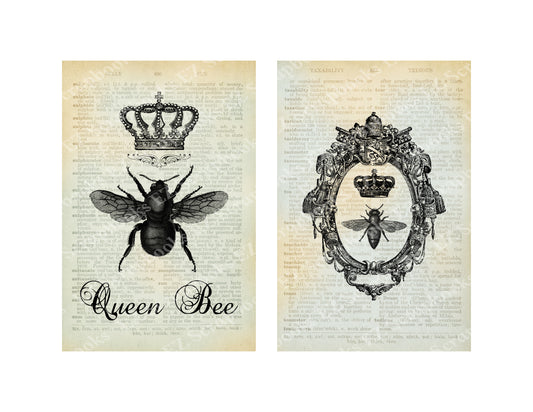 Queen Bee Cards 1 - 9266 - EZscrapbooks Scrapbook Layouts 
