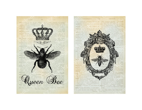 Queen Bee Cards 1 - 9266 - EZscrapbooks Scrapbook Layouts 