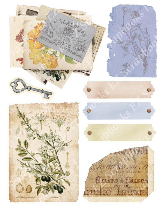 Botanical Compendium Embellishments 1 - 9414 - EZscrapbooks Scrapbook Layouts Botanical