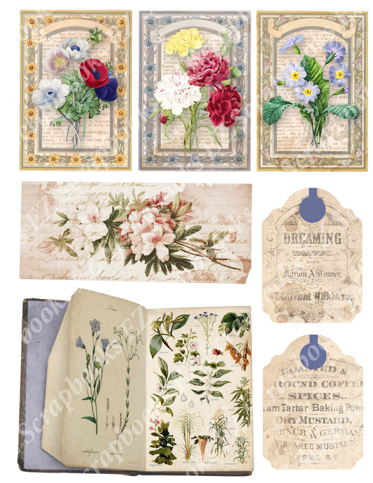 Botanical Compendium Embellishments 2 - 9415 - EZscrapbooks Scrapbook Layouts Botanical