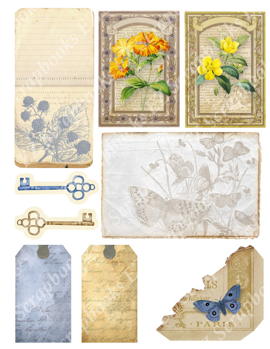 Botanical Compendium Embellishments 4 - 9417 - EZscrapbooks Scrapbook Layouts Botanical