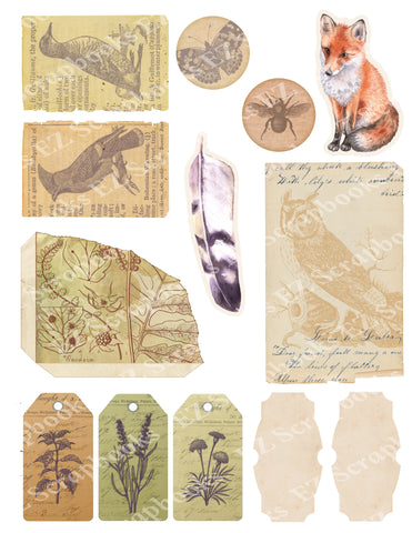 Forest Animals Embellishments 1 - 9504 - EZscrapbooks Scrapbook Layouts Animals