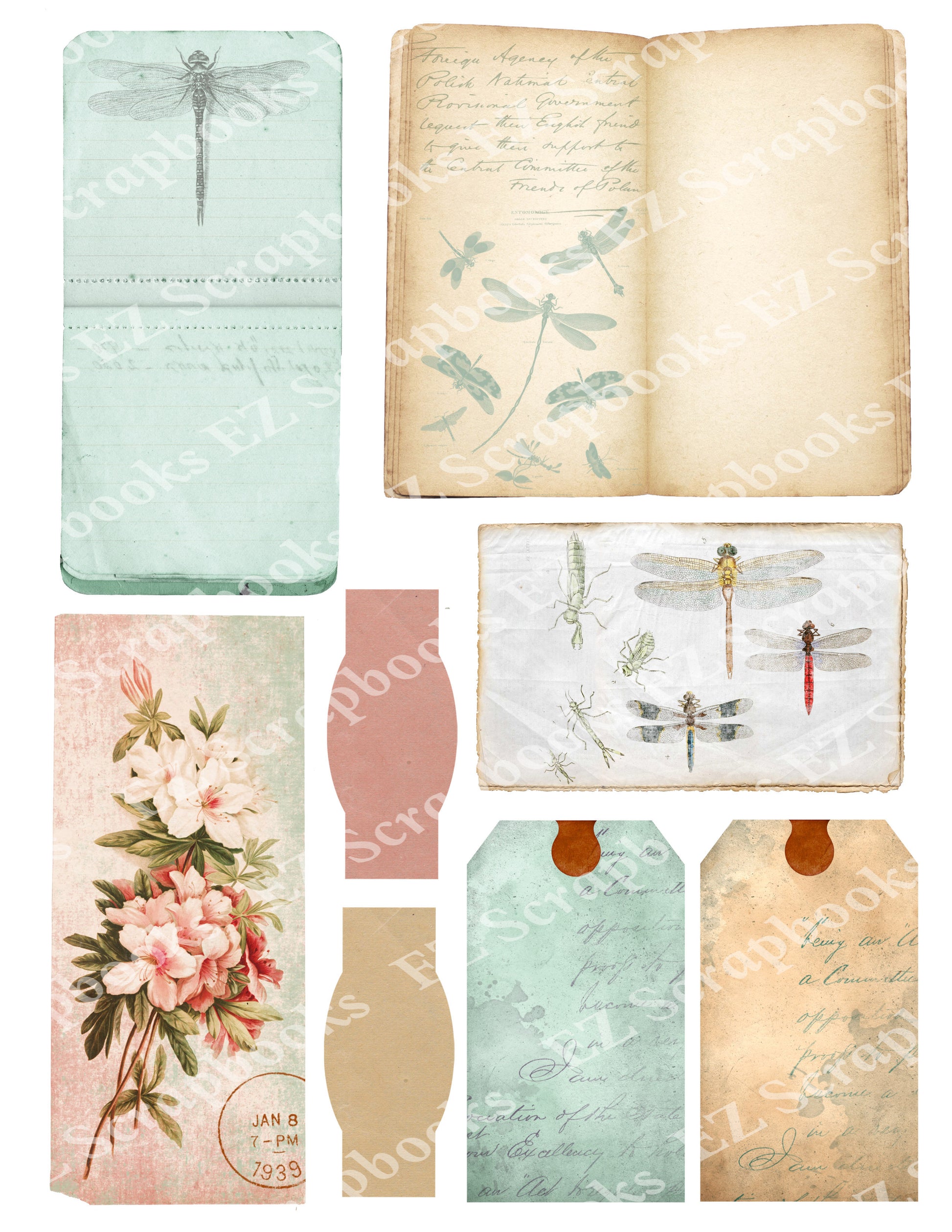Dragonfly Embellishments 1 - 9535 - EZscrapbooks Scrapbook Layouts