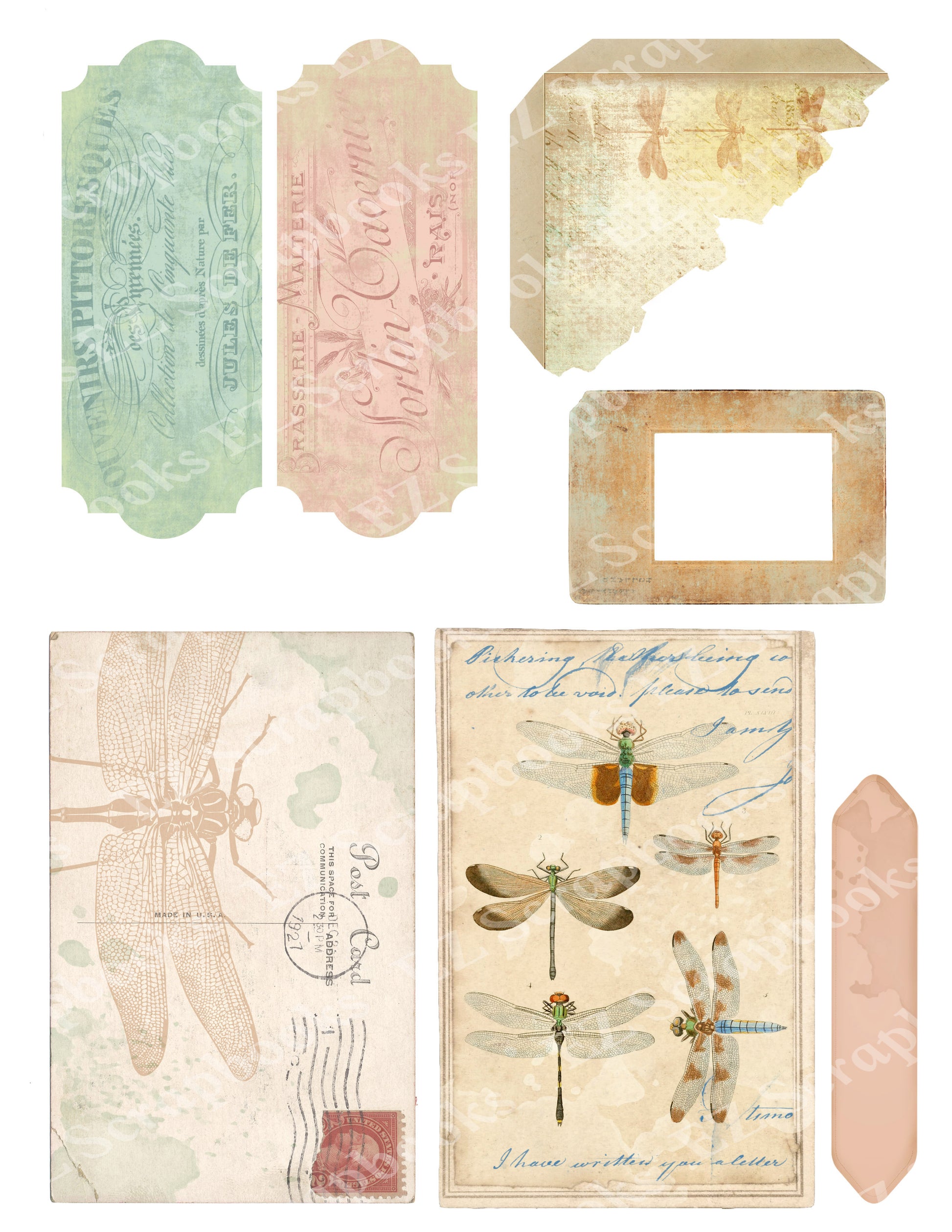 Dragonfly Embellishments 5 - 9539 - EZscrapbooks Scrapbook Layouts 