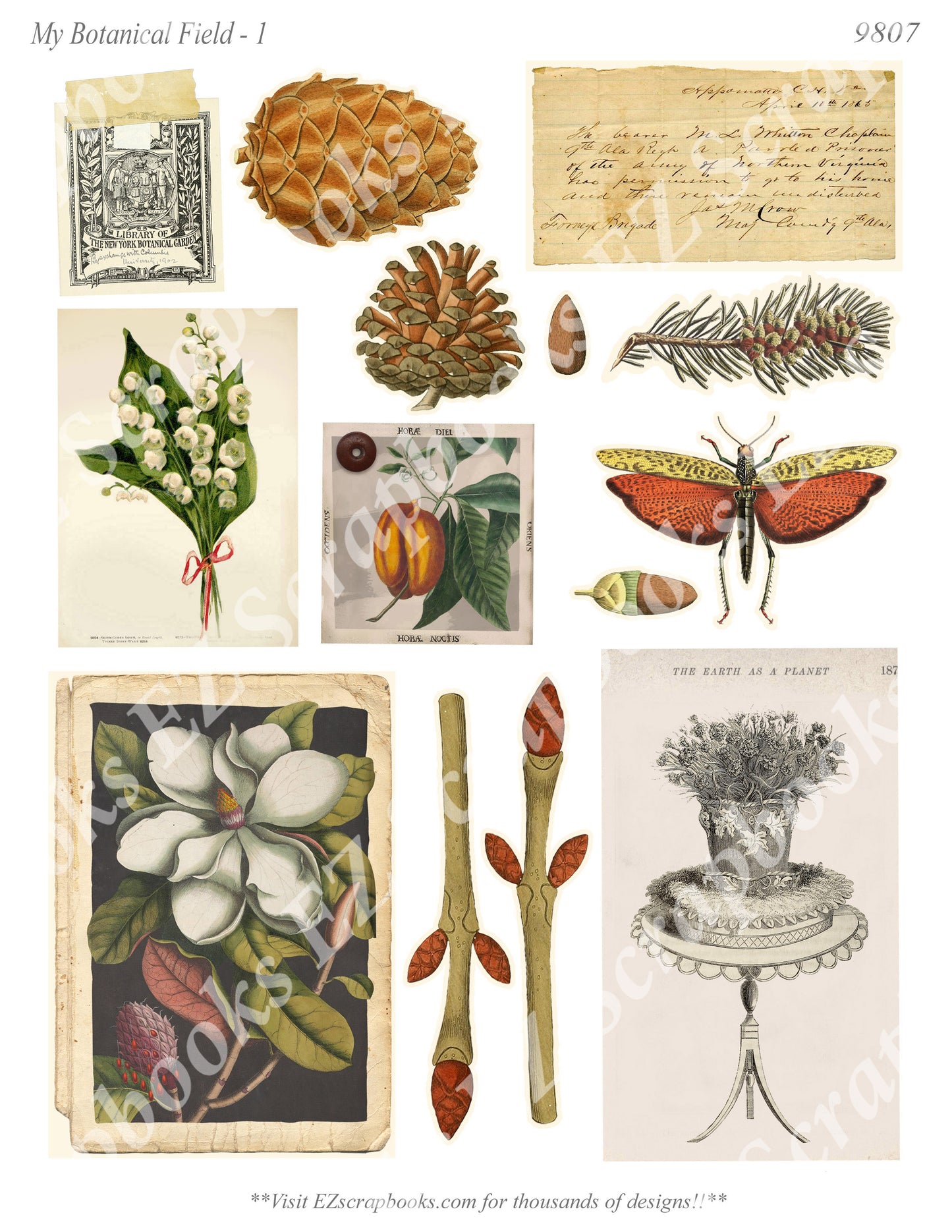 My Botanical Field - Embellishments - 1 - 9807