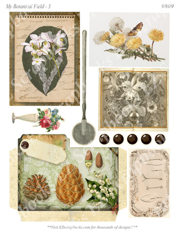 My Botanical Field - Embellishments - 3 - 9809