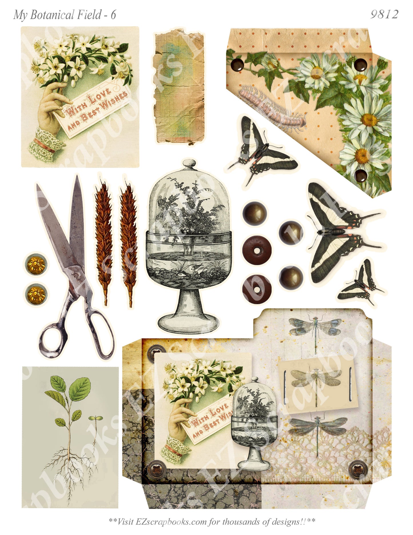 My Botanical Field - Embellishments - 6 - 9812