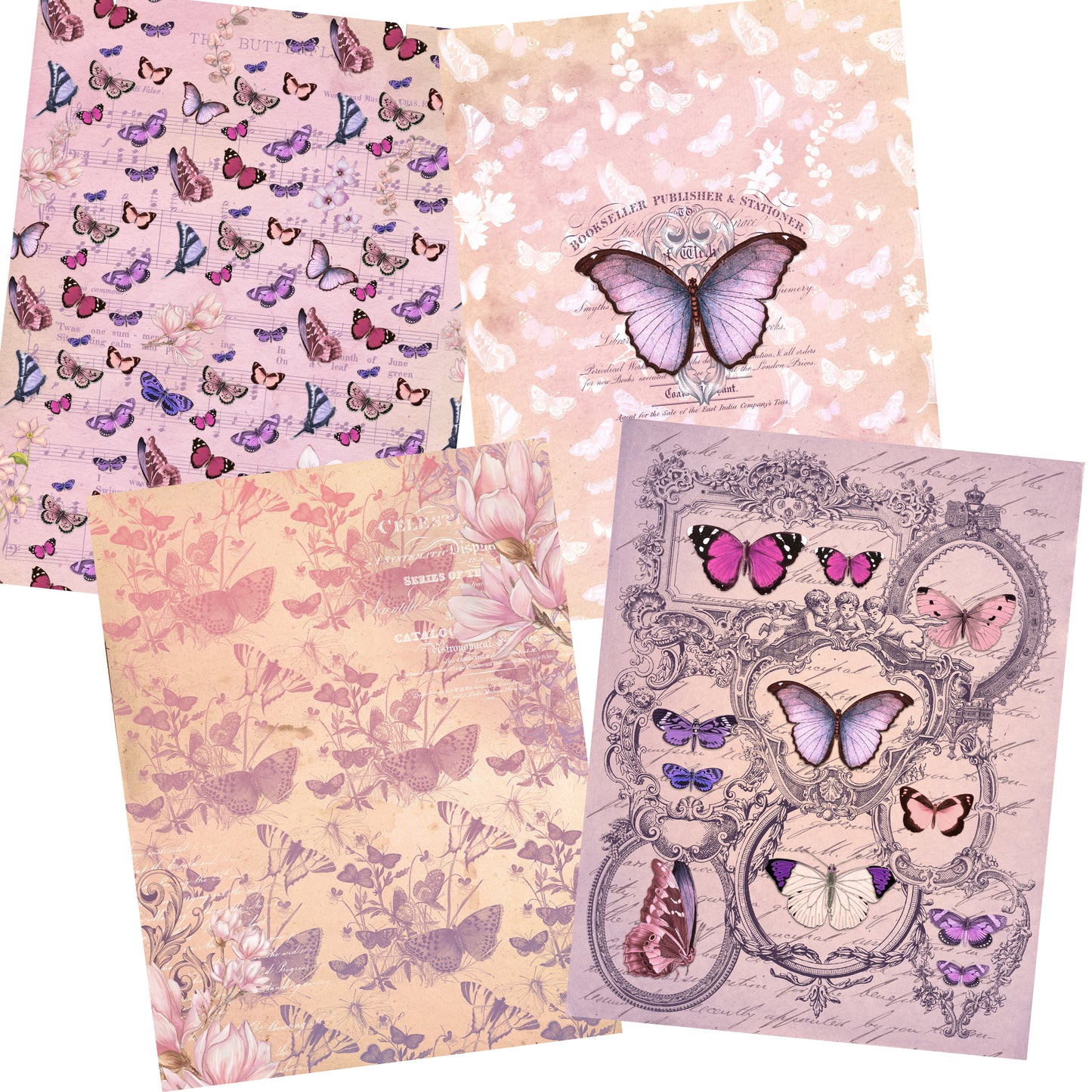 Beloved Butterflies Paper Pack - 7426