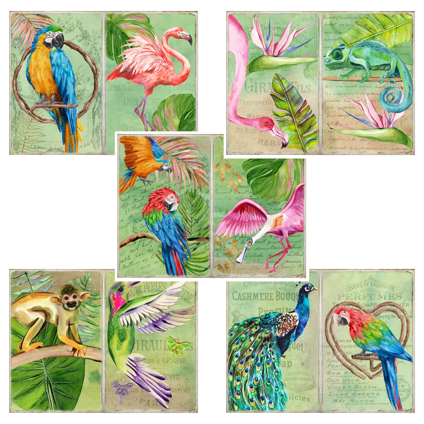 Exotic Birds Journal Pages - 23-7021