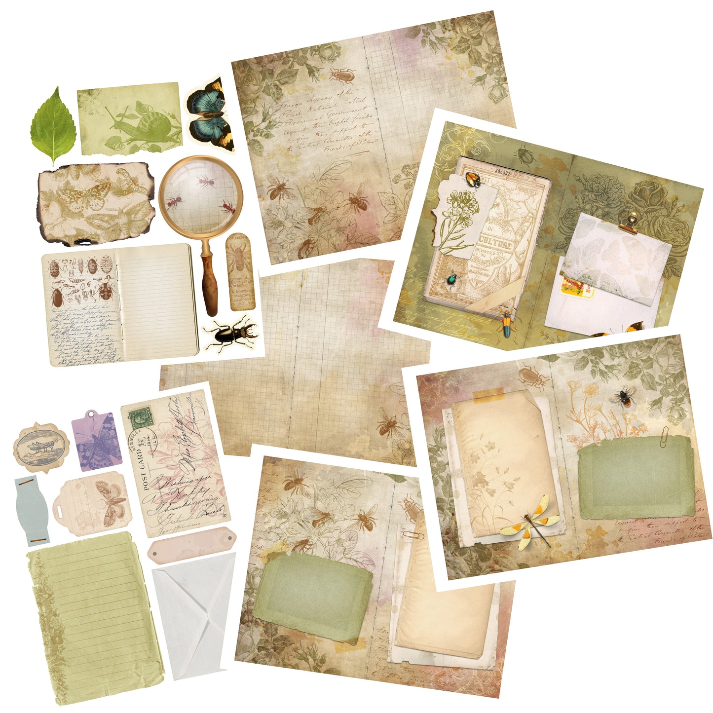 All The Bugs Journal Pack - 7202 - EZscrapbooks Scrapbook Layouts Journals