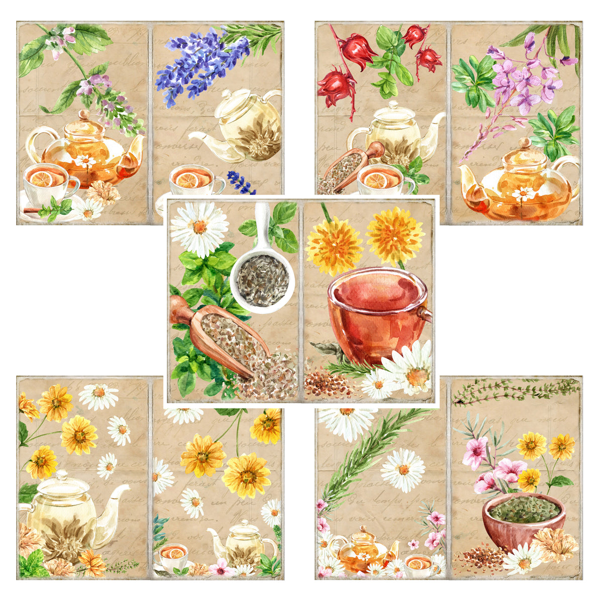 Green Tea Journal Herbal Tea Journal Pages - 23-7049 – EZscrapbooks