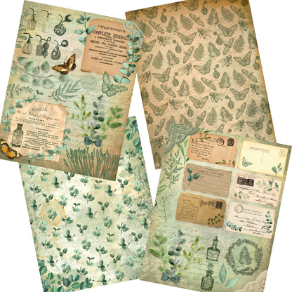 Fragrant Eucalyptus Paper Pack - 7269