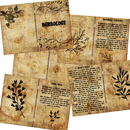 School of Magic Herbology Journal Pack - 7280