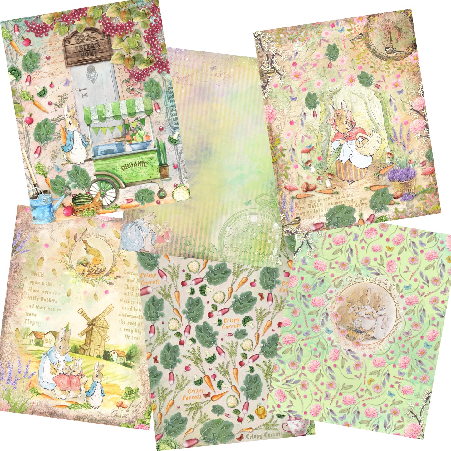 Adventures of Peter Rabbit Paper Pack - 7505