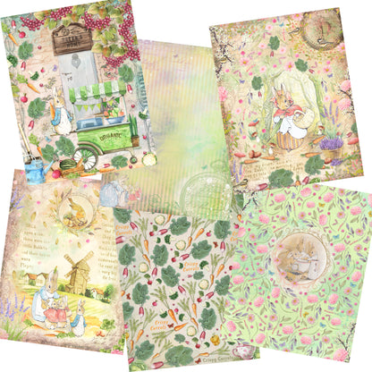 Adventures of Peter Rabbit Paper Pack - 7505