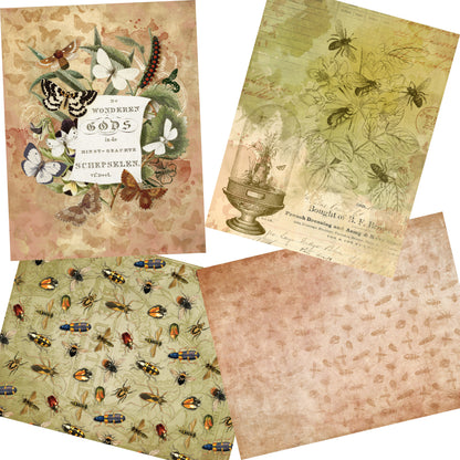 All The Bugs Paper Pack - 7203 - EZscrapbooks Scrapbook Layouts Journals